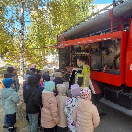 Посмотреть крупнее
