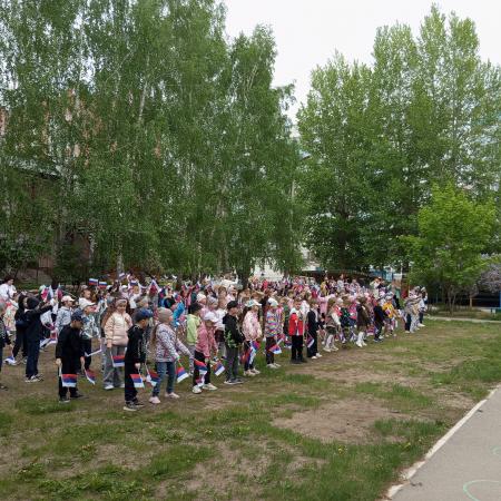 Посмотреть крупнее